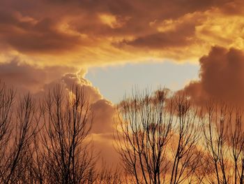 Low angle view of silhouette bare trees against dramatic sky