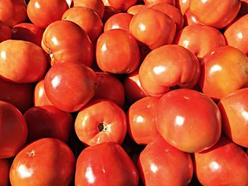 Full frame shot of tomatoes for sale