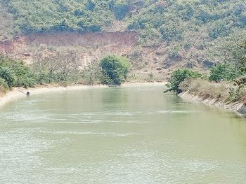 High angle view of river amidst trees