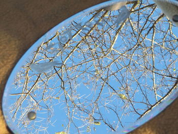 Low angle view of bare tree against sky