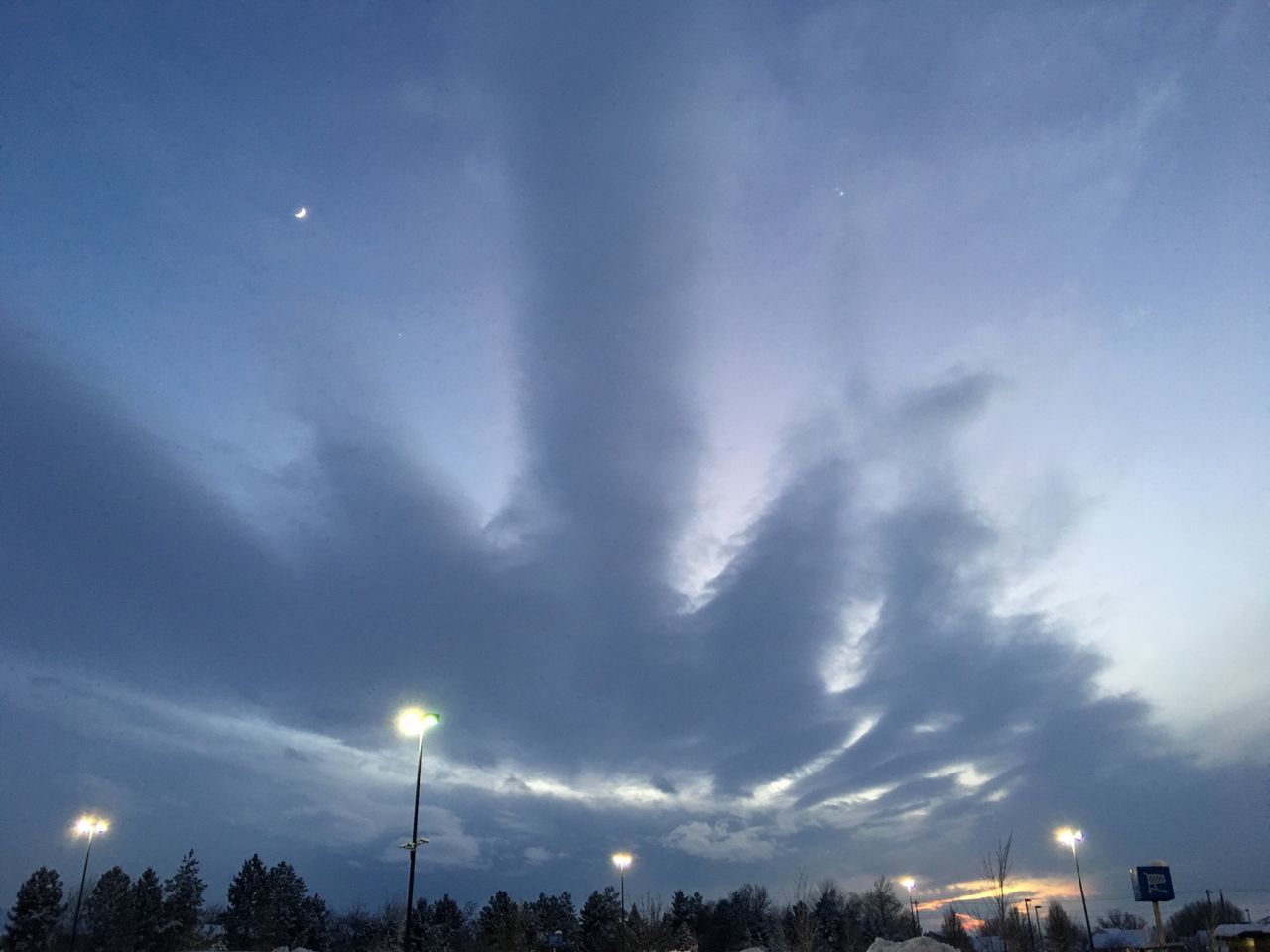 LOW ANGLE VIEW OF SKY AND TREES AGAINST THE BLUE CLOUDY DAY