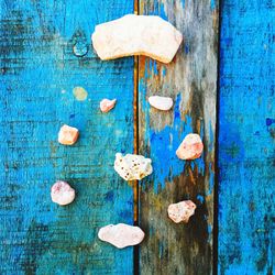 Close-up of mushroom growing on wood