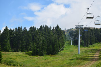 Panoramic shot of trees on land against sky