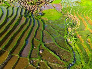 Full frame shot of water