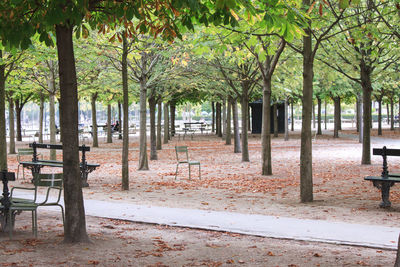 Empty road amidst trees