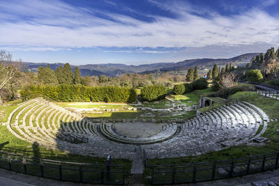 High angle view of plants in park