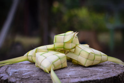 Close-up of green leaf on table