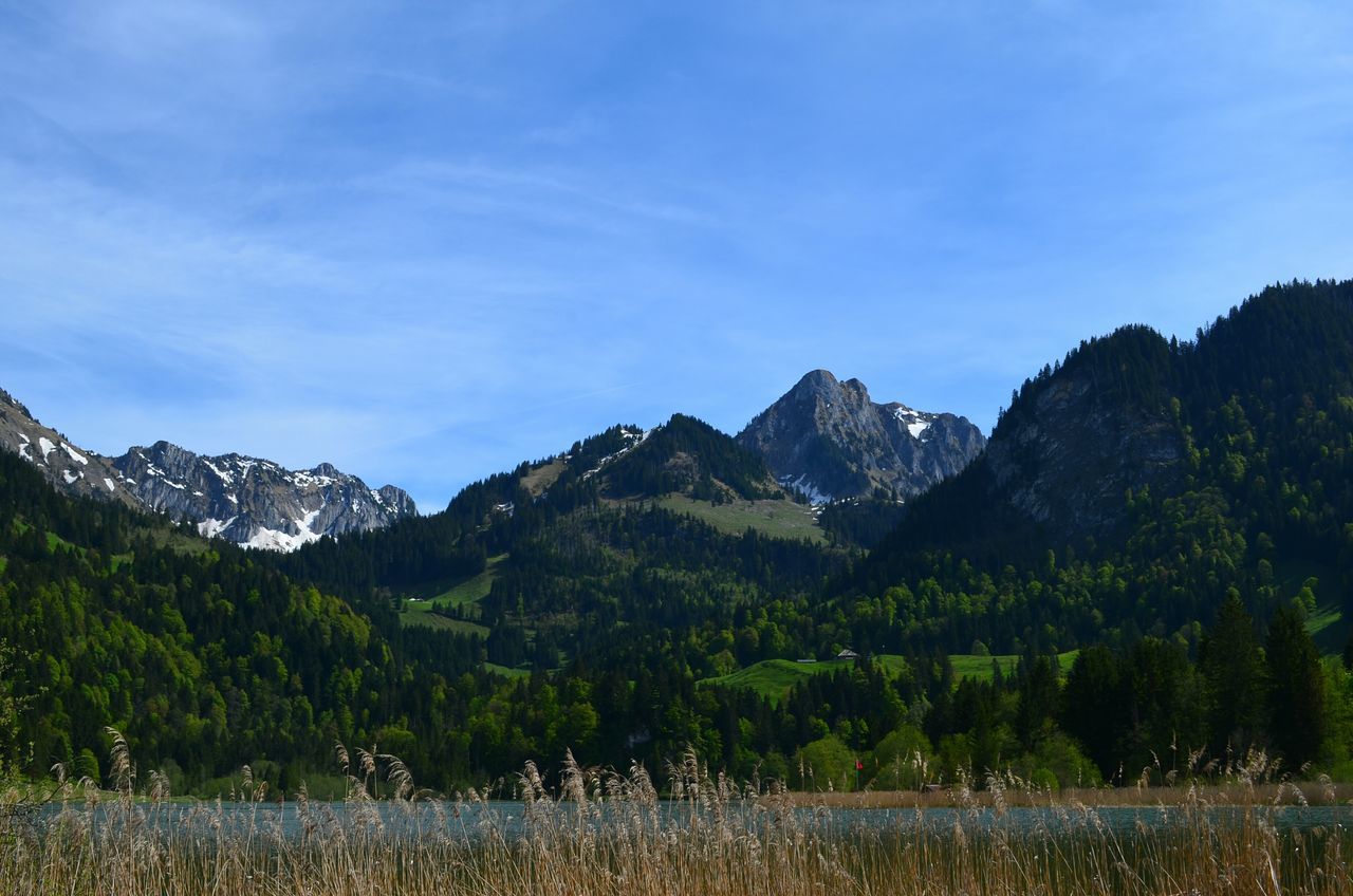 mountain, tranquil scene, scenics, mountain range, tranquility, landscape, non-urban scene, beauty in nature, nature, majestic, sky, blue, countryside, plant, day, solitude, remote, physical geography, growth, rural scene, geology, outdoors, green, green color, wilderness area, farm, cloud - sky, no people, tourism