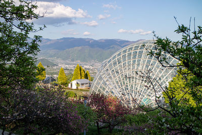 Plants and trees by building against sky