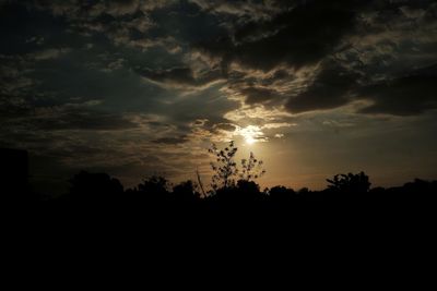 Low angle view of silhouette trees against sky at sunset