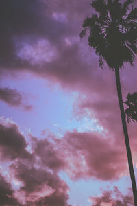 Low angle view of palm trees against sky