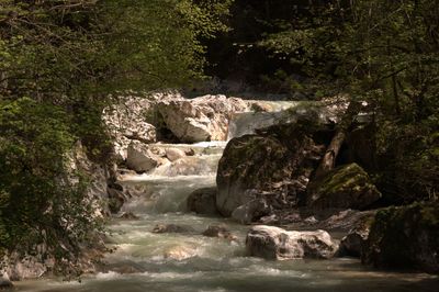 Scenic view of waterfall amidst trees