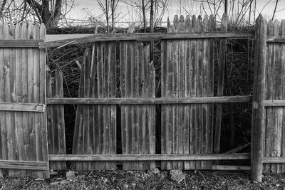 Close-up of wooden fence