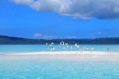 Scenic view of sea against blue sky