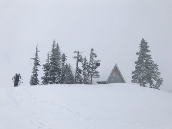 Trees on snow covered landscape against sky