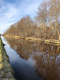 Reflection of tree in lake against sky