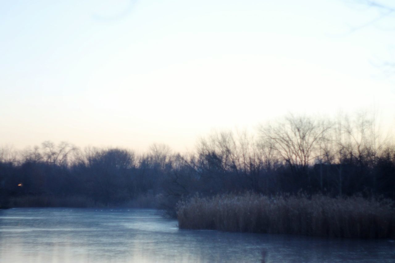 tree, tranquil scene, tranquility, water, scenics, beauty in nature, waterfront, clear sky, nature, lake, sky, copy space, winter, bare tree, river, weather, landscape, cold temperature, field, non-urban scene