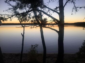 Silhouette trees by lake against sky during sunset
