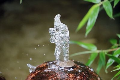 Close-up of water splashing