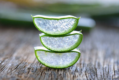 Close-up of aloe vera on table