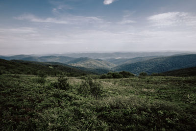 Scenic view of landscape against sky