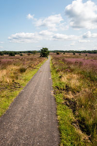 Dirt road amidst field against sky