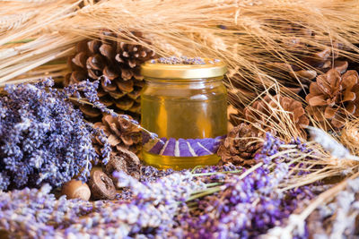 Close-up of dried plant in jar