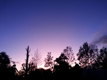 Low angle view of silhouette trees against sky