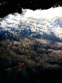 Low angle view of cloudscape against sky
