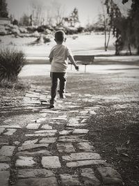 Rear view of boy on footpath in park