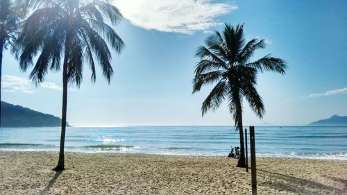 Palm trees on beach against sky