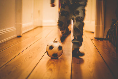 Low section of person playing soccer ball at home