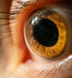 Close-up of human eye