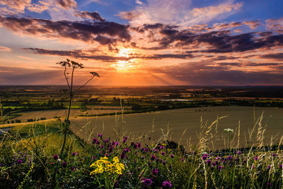 Scenic view of grassy field against cloudy sky during sunset