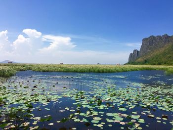 Scenic view of lake against sky