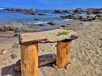 Scenic view of crude driftwood bench and wildflowers against ocean.