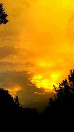 Silhouette of trees at sunset