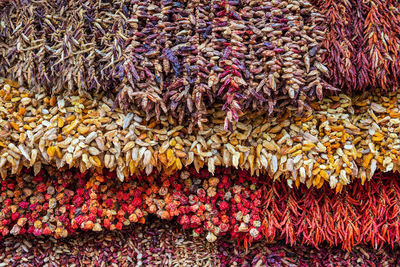 Full frame shot of multi colored flowers for sale in market