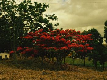 Scenic view of field against cloudy sky