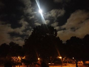 Low angle view of silhouette trees against sky at night