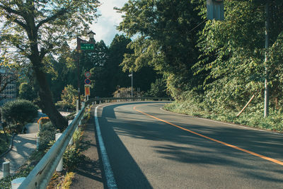 Road by trees in city