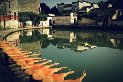 Reflection of built structure in water