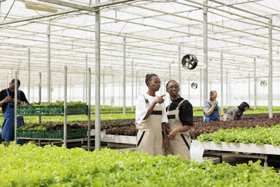 High angle view of business colleagues working in greenhouse