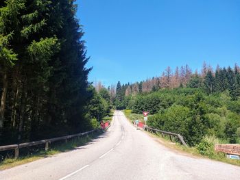 Road amidst trees and plants against sky