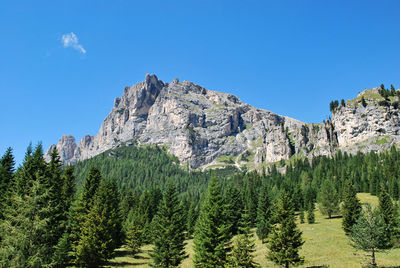 Mountains and forests near falzarego pass in veneto, italy.