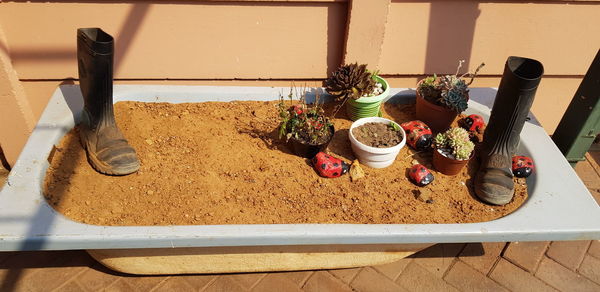 High angle view of fruits on table