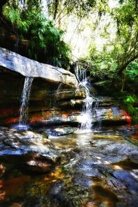 Scenic view of waterfall in forest