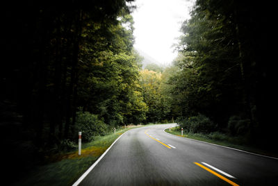 Empty road amidst trees in forest