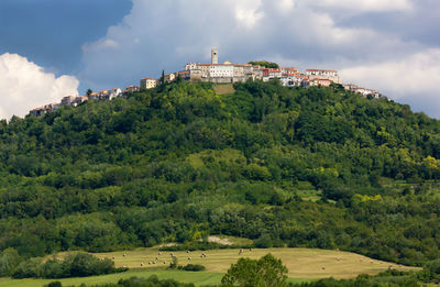 Scenic view of trees and buildings against sky