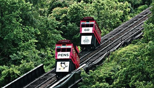 Train on railroad tracks by trees